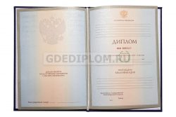 диплом воспитателя вуз 2004-2009